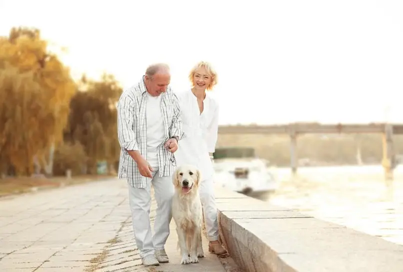 couple de séniors avec un chien