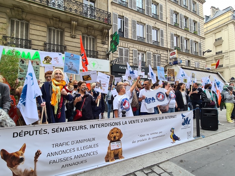 Manifestation bien être animal